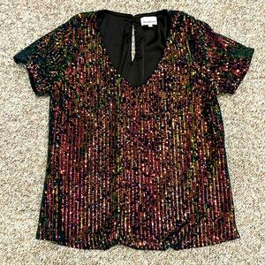 Heartloom sequin v-neck top. Size Medium.